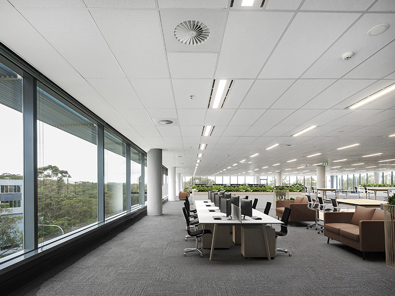 Goodman-The Park-004r4 800